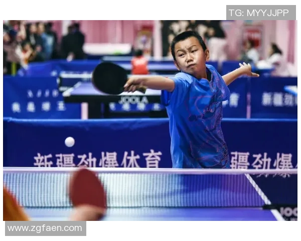 对话张伟：回顾乒乓球生涯的辉煌与挑战分享