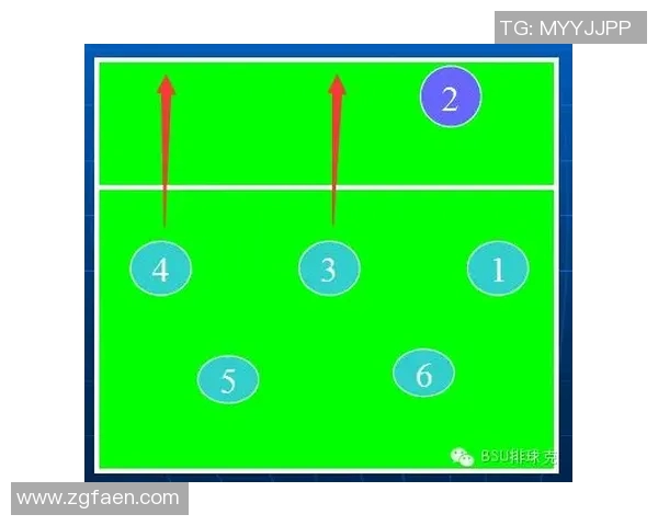 深圳排球队在锦标赛中的速度优势与战术分析 深圳排球队在锦标赛中的速度优势与战术分析