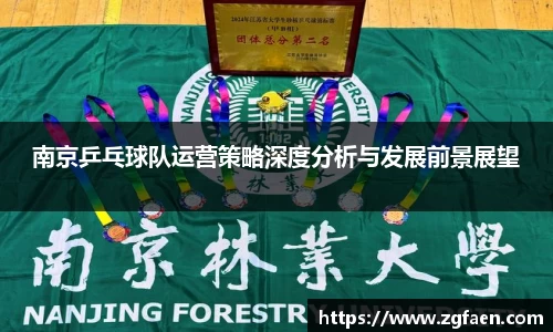 南京乒乓球队运营策略深度分析与发展前景展望