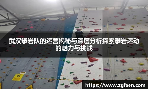 武汉攀岩队的运营揭秘与深度分析探索攀岩运动的魅力与挑战