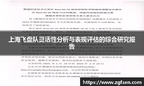 上海飞盘队灵活性分析与表现评估的综合研究报告